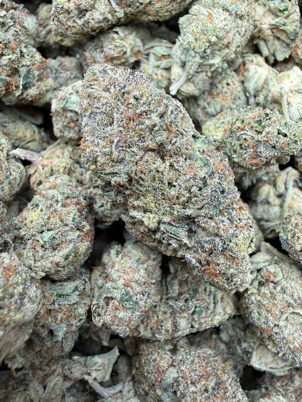 1 Pound - Blue Slurpee THCA Strain