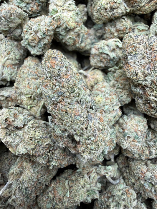1 Pound - Blue Slurpee THCA Strain Frisco Labs