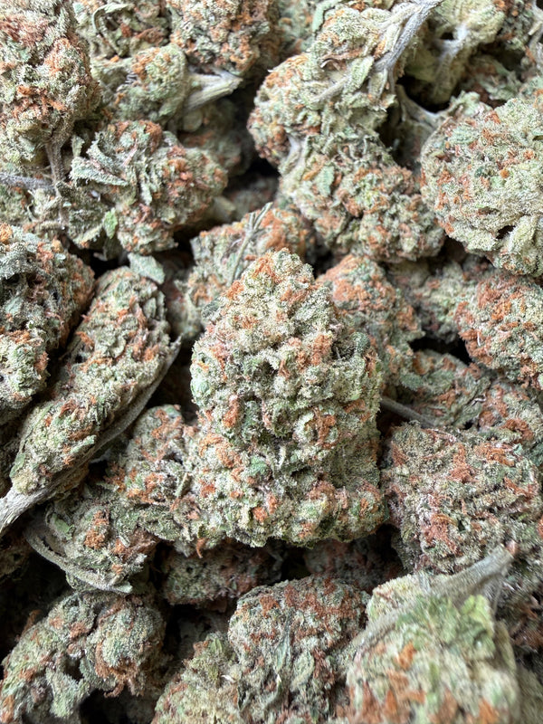 1 Pound - Blueberry Pancakes THCA Flower