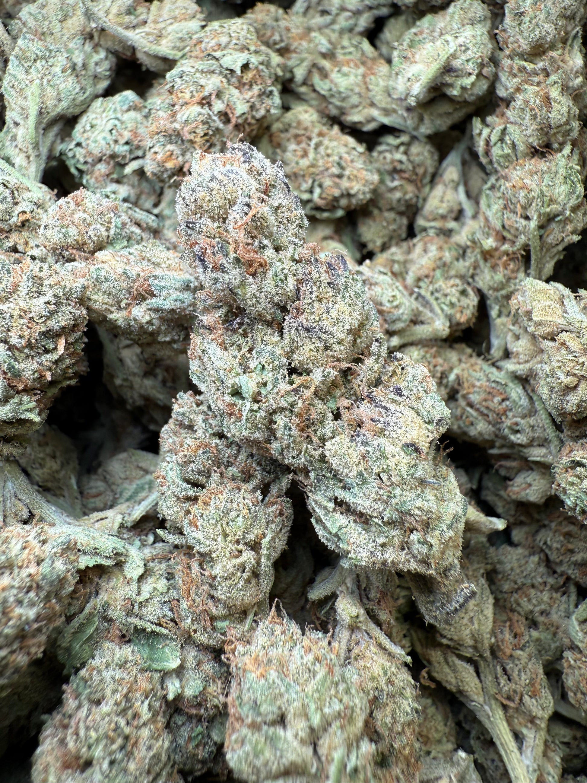 1 Pound - Bubble Gum THCA Strain Frisco Labs