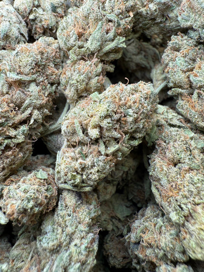 1 Pound - Bubble Gum THCA Strain Frisco Labs