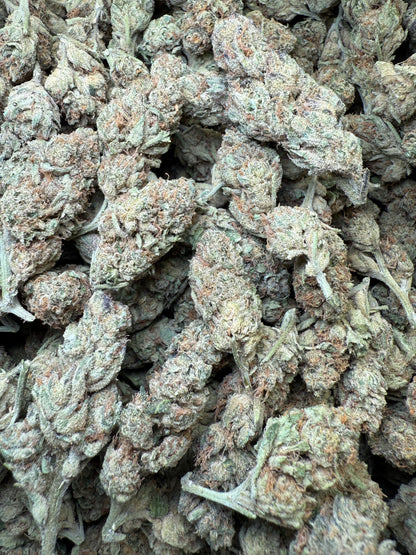 1 Pound - Bubble Gum THCA Strain Frisco Labs