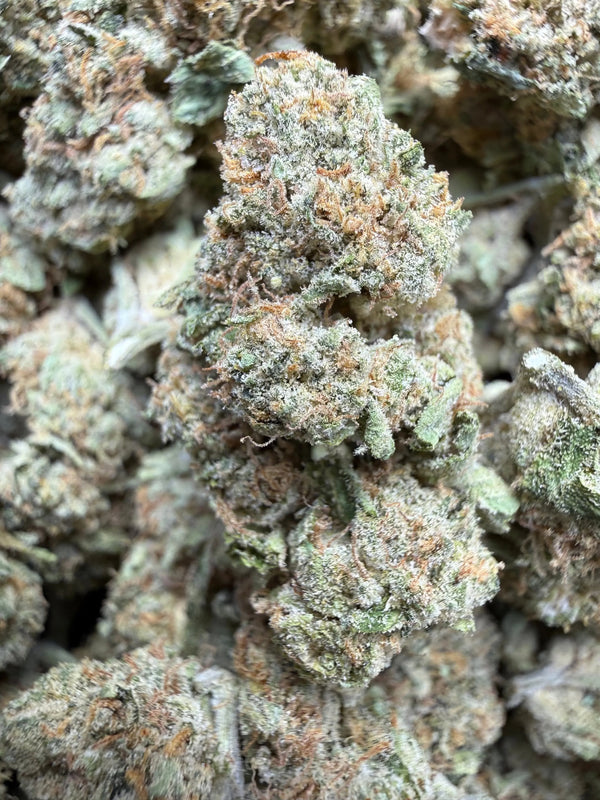 1 Pound Bubble Yum THCA Flower