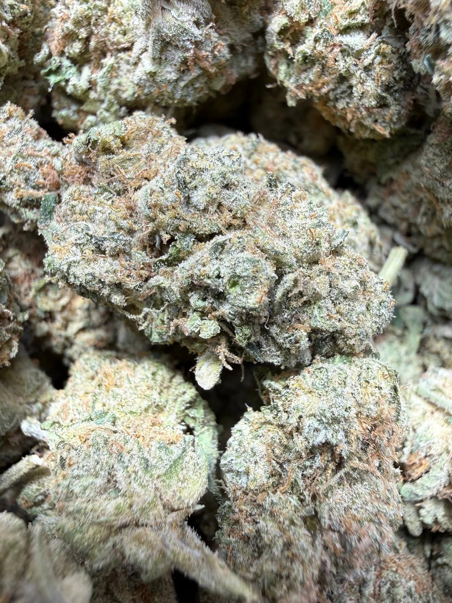 1 Pound Bubble Yum THCA FL Fulfillment Center