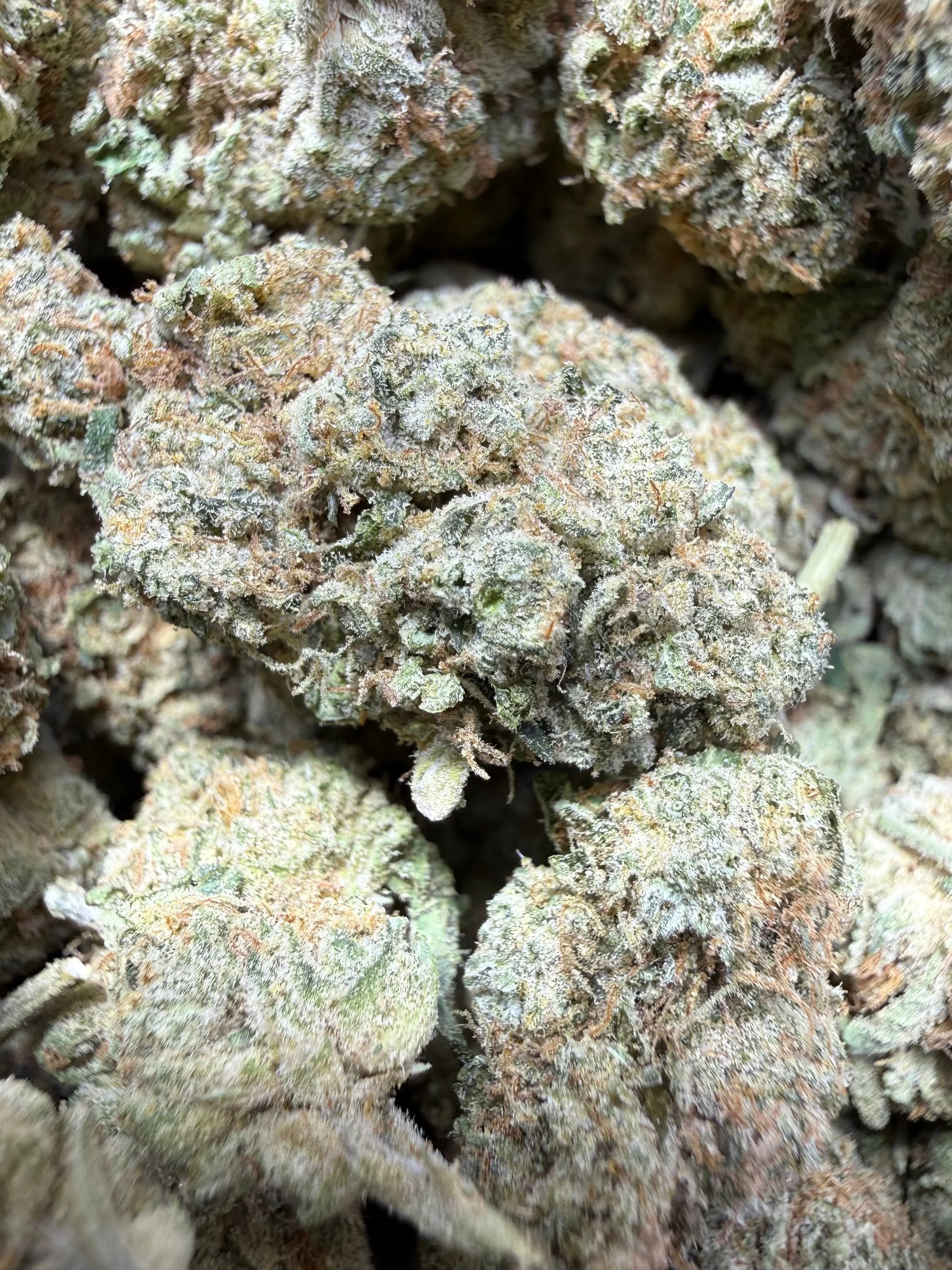 1 Pound Bubble Yum THCA FL Fulfillment Center