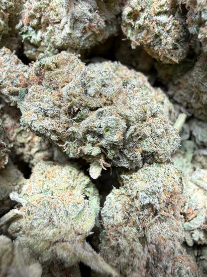 1 Pound Bubble Yum THCA FL Fulfillment Center
