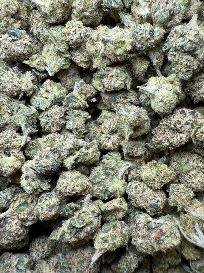 1 Pound - Candy Gelato Small FL Fulfillment Center