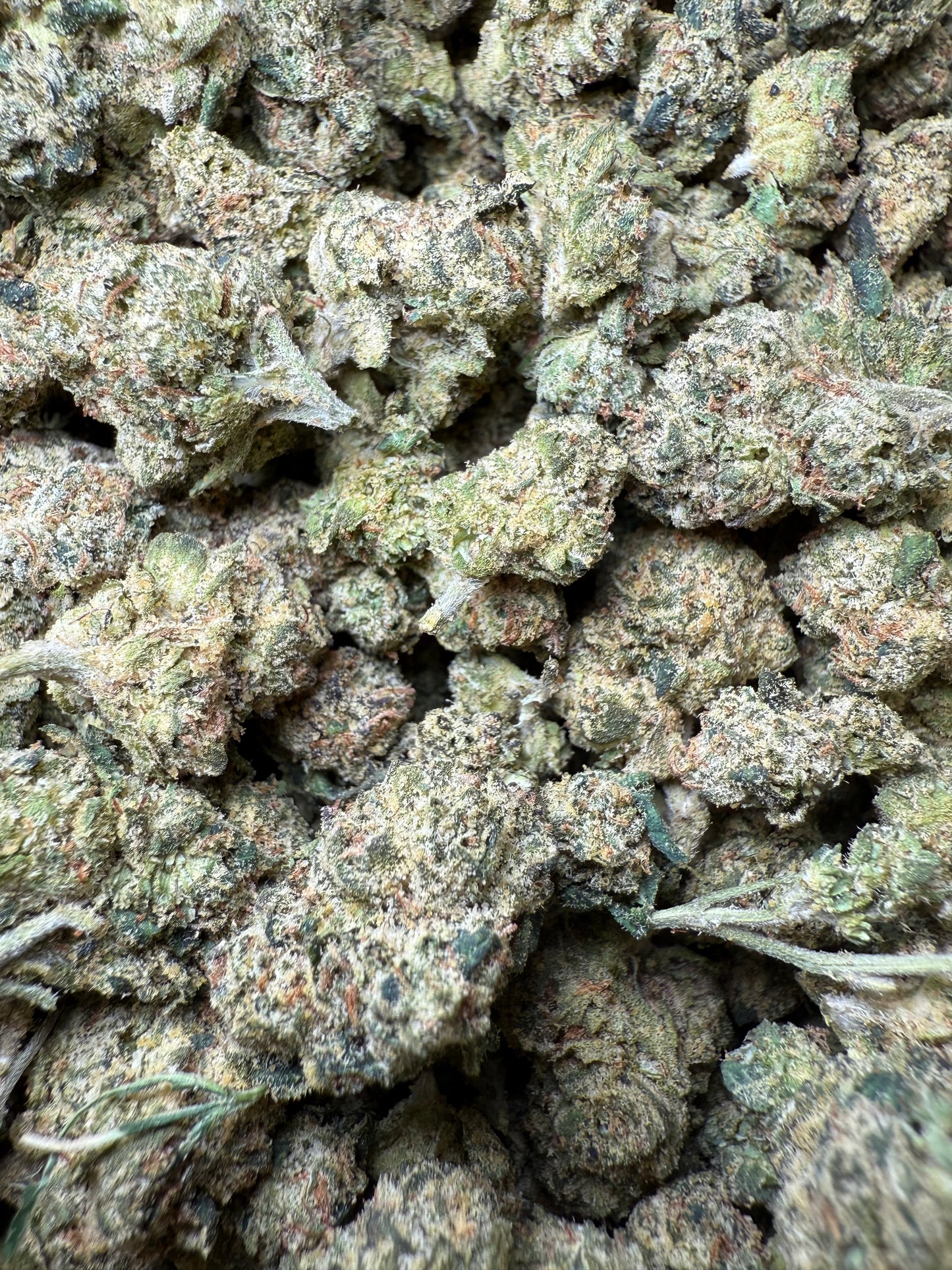 1 Pound - Candy Gelato Small FL Fulfillment Center