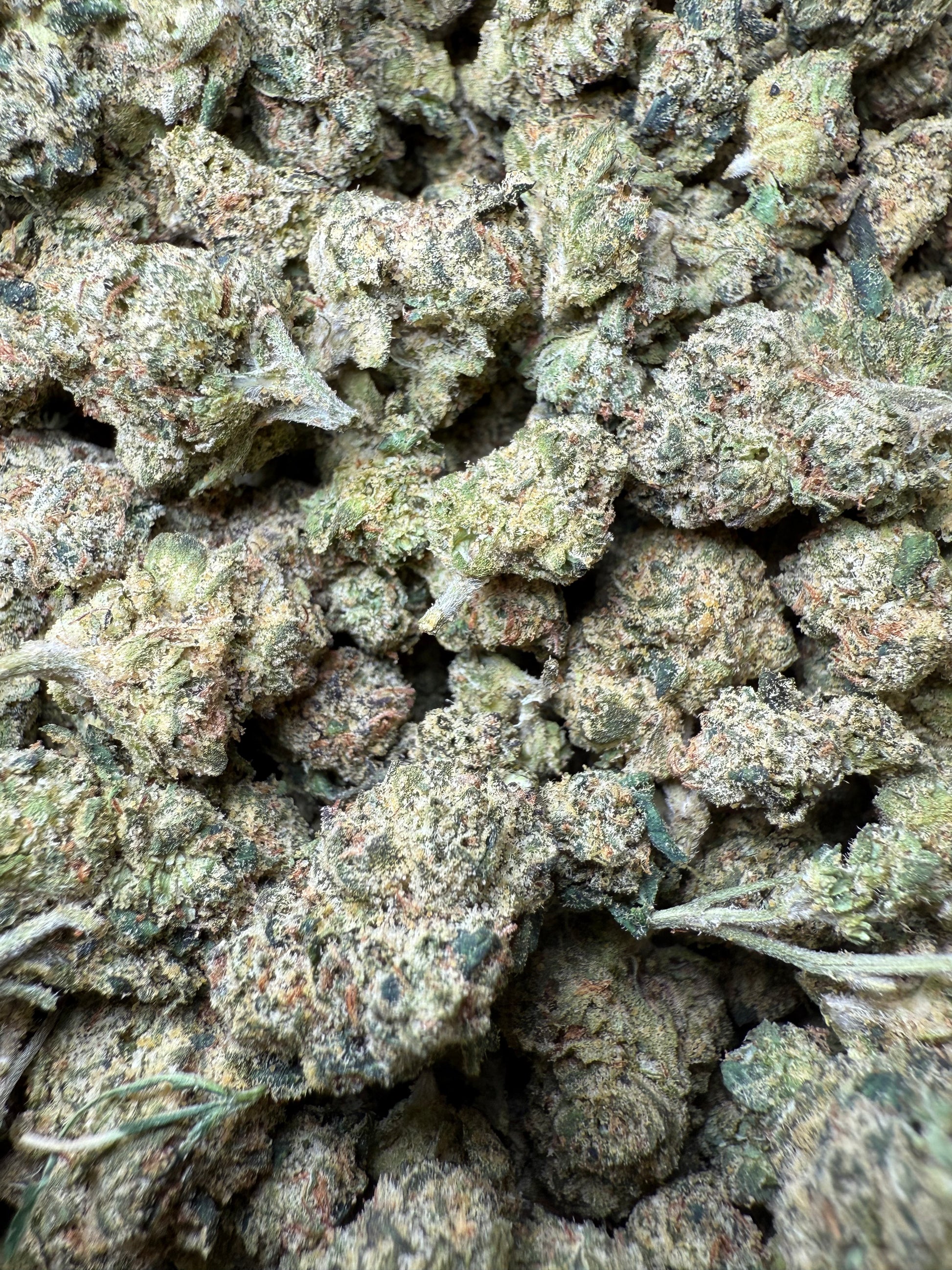 1 Pound - Candy Gelato Small FL Fulfillment Center