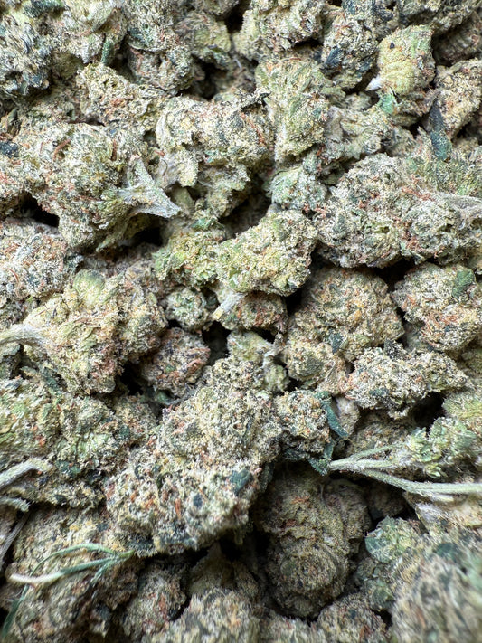 1 Pound - Candy Gelato Small FL Fulfillment Center