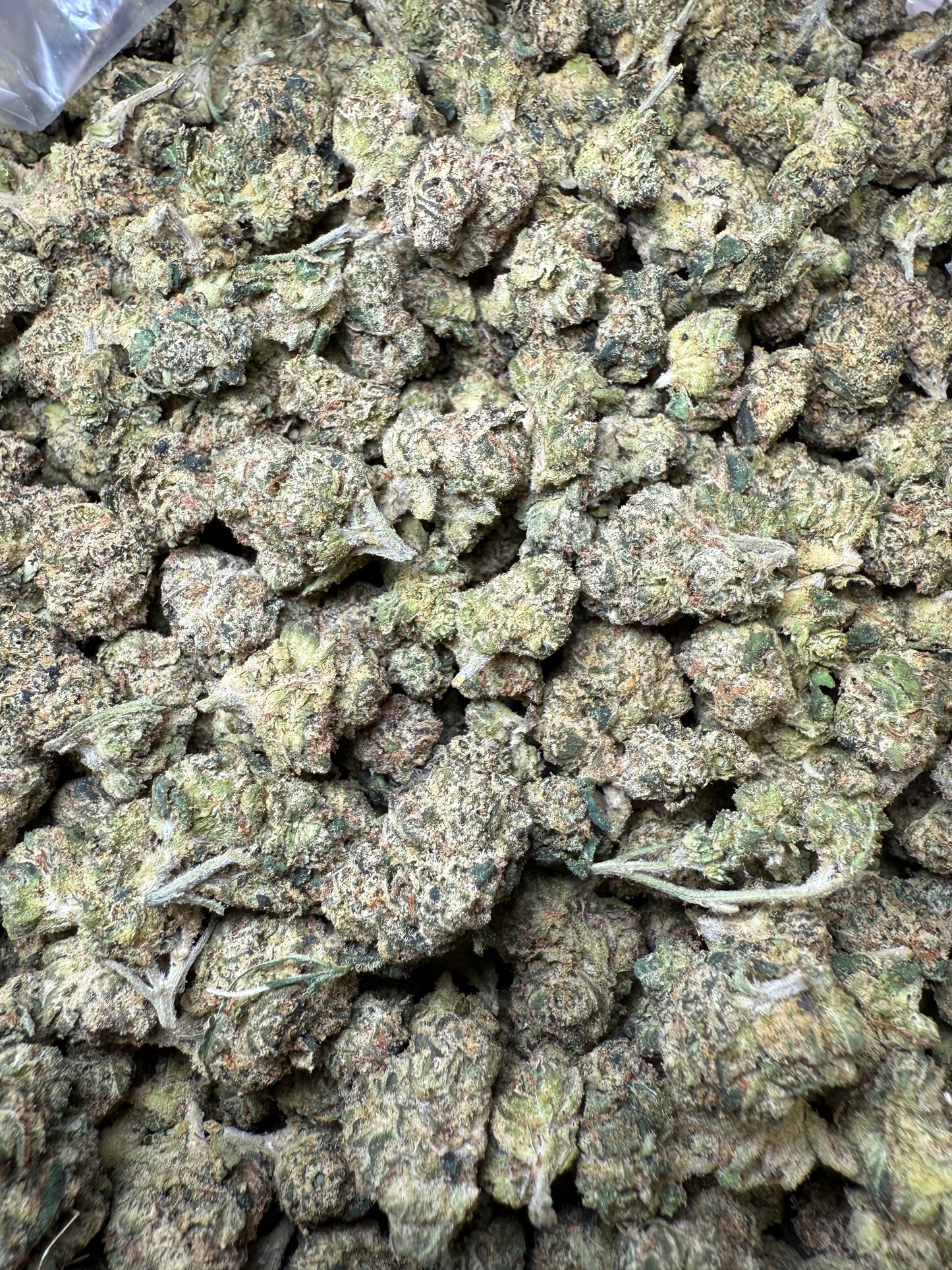 1 Pound - Candy Gelato Small FL Fulfillment Center