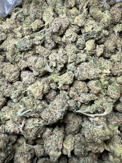 1 Pound - Candy Gelato Small FL Fulfillment Center