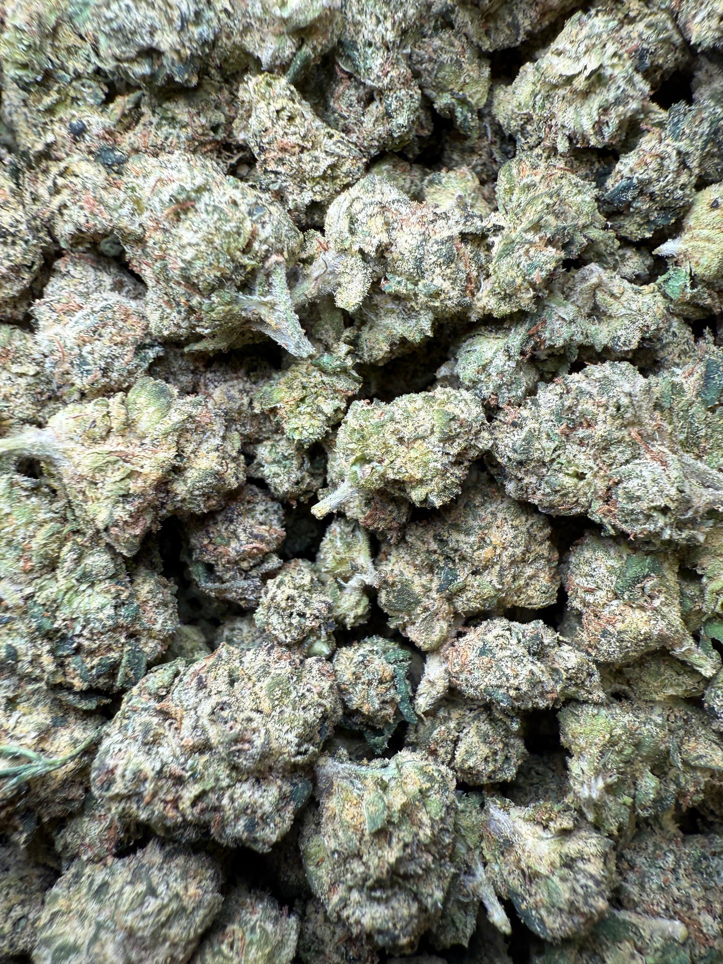 1 Pound - Candy Gelato Small FL Fulfillment Center