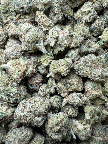 1 Pound - Candy Gelato Small FL Fulfillment Center