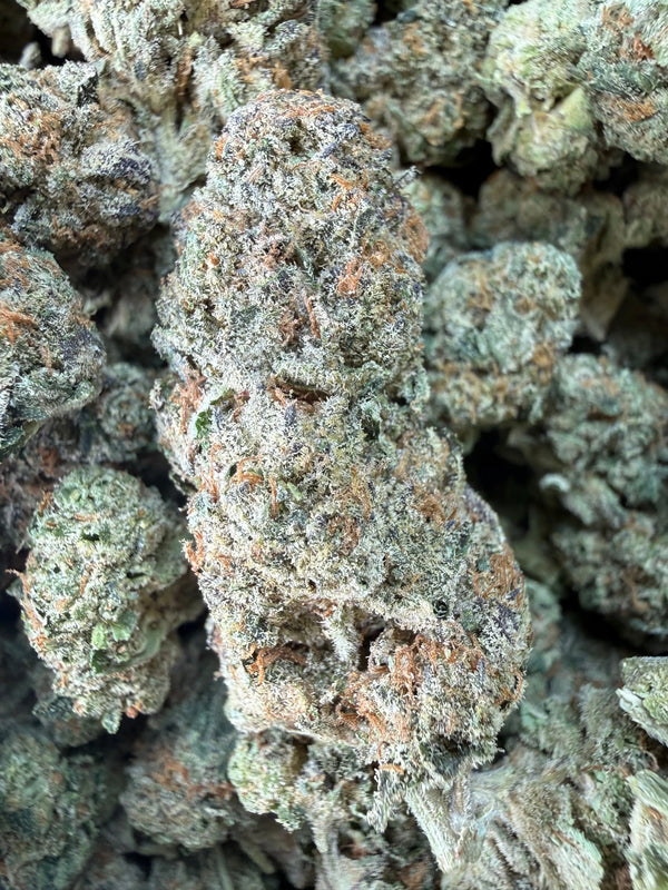 1 Pound -  Cereal Milk THCA Strain