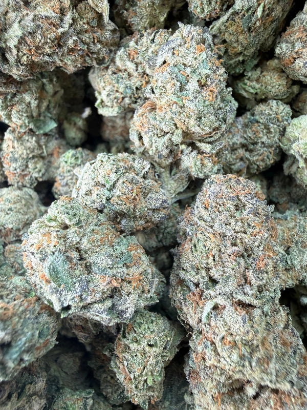 1 Pound -  Cereal Milk THCA Flower