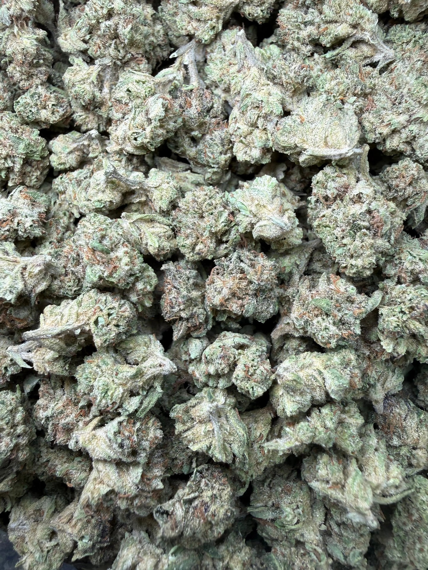 1 Pound -  Cereal Milk THCA Strain (Small) Frisco Labs