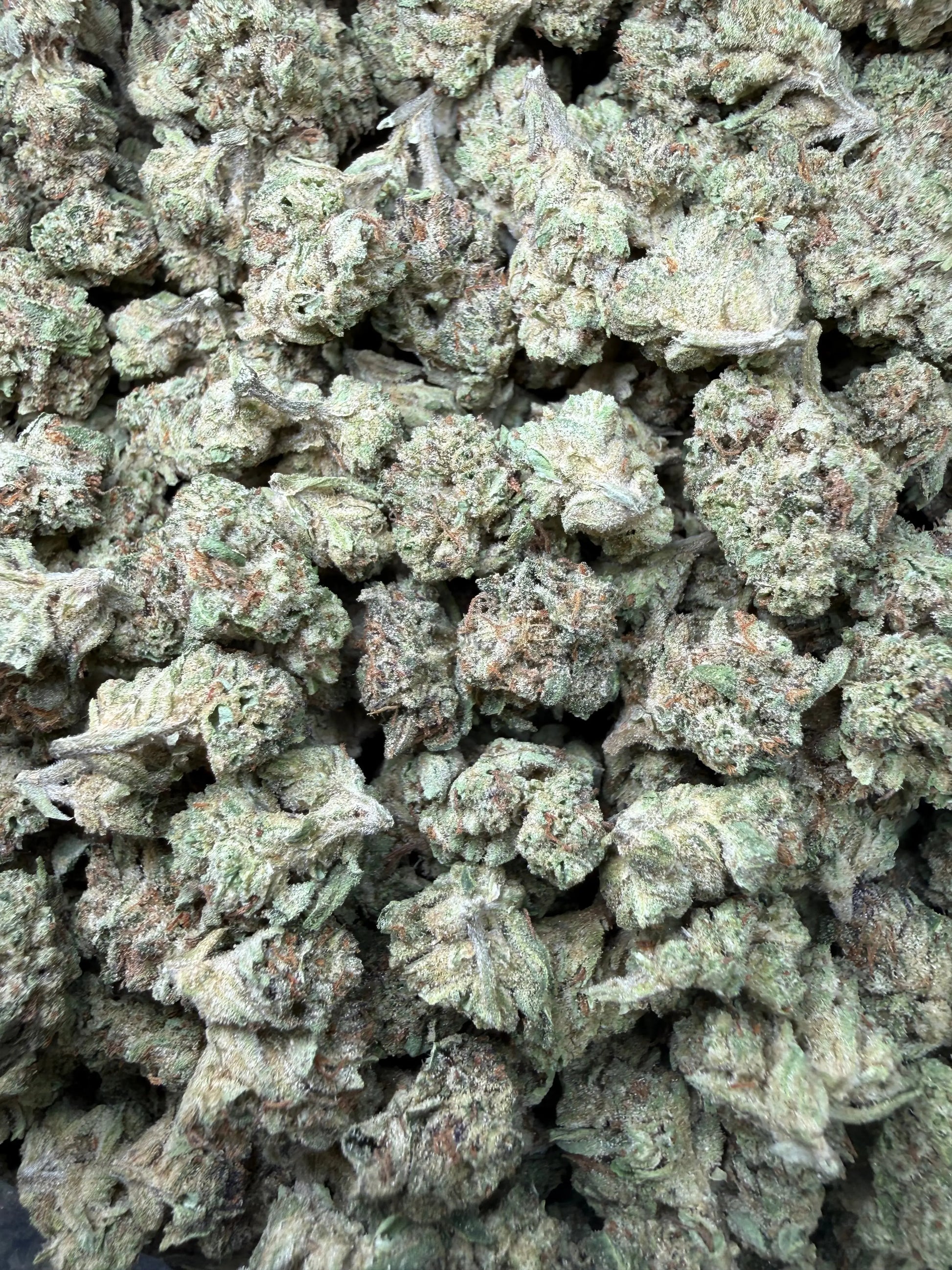 1 Pound -  Cereal Milk THCA Strain (Small) Frisco Labs