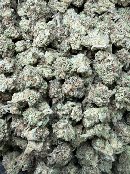 1 Pound -  Cereal Milk THCA Strain (Small) Frisco Labs