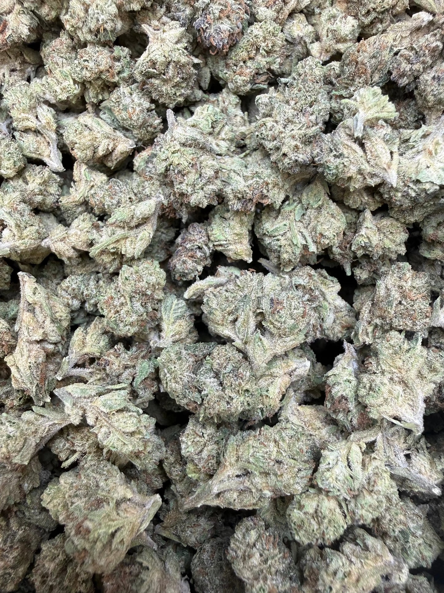 1 Pound -  Cereal Milk THCA Strain (Small) Frisco Labs