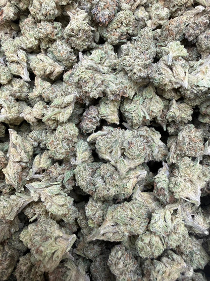 1 Pound -  Cereal Milk THCA Strain (Small) Frisco Labs