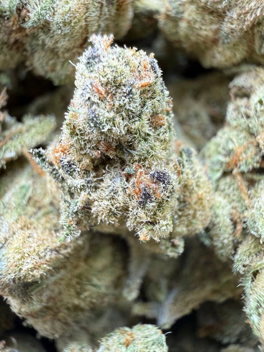 1 Pound - Cheetah Piss THCA Strain Frisco Labs