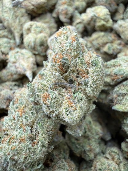 1 Pound - Cheetah Piss THCA Strain Frisco Labs