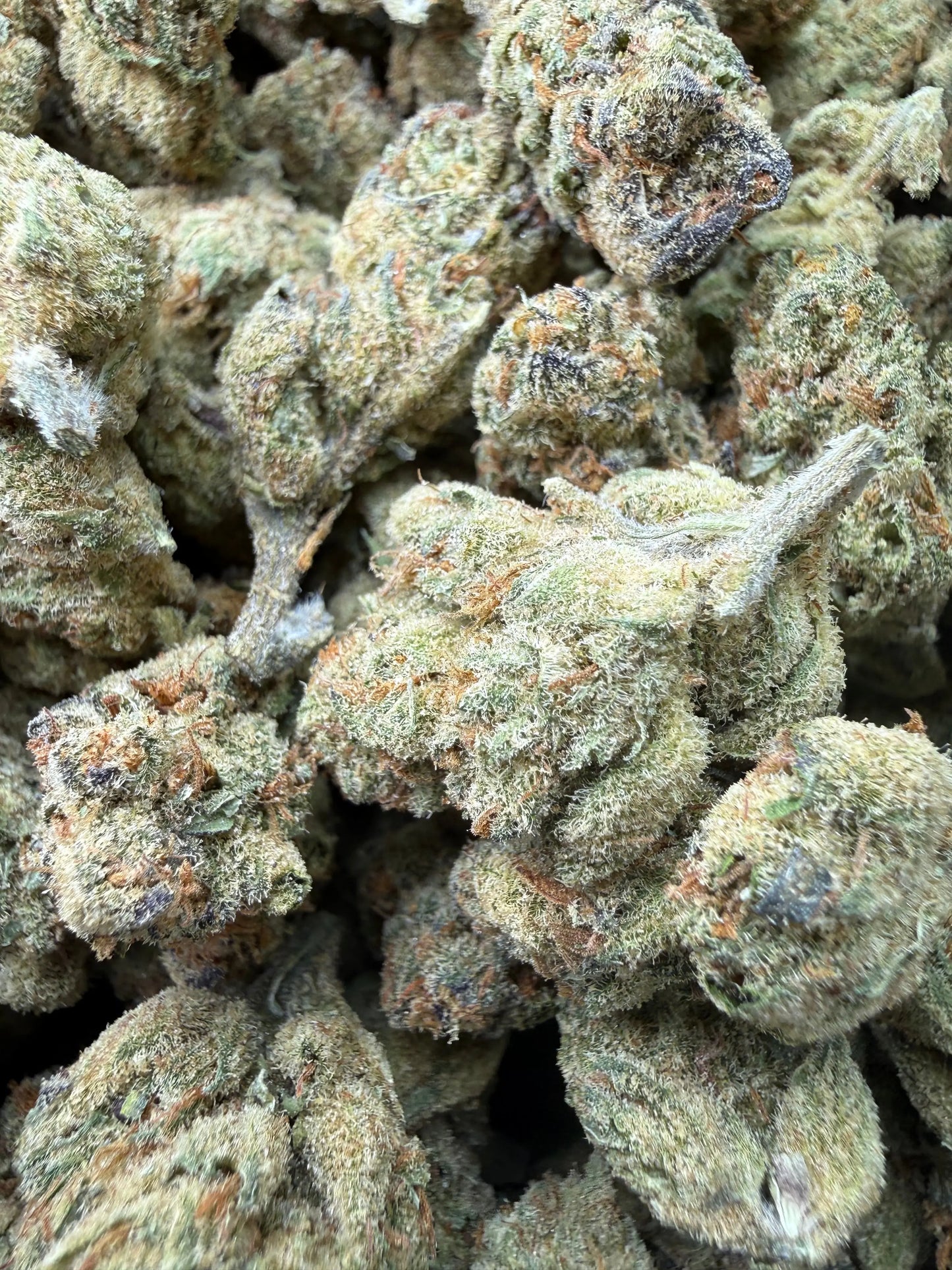 1 Pound - Cheetah Piss THCA Strain Frisco Labs