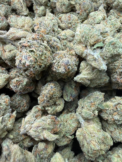 1 Pound - Cheetah Piss THCA Strain Frisco Labs