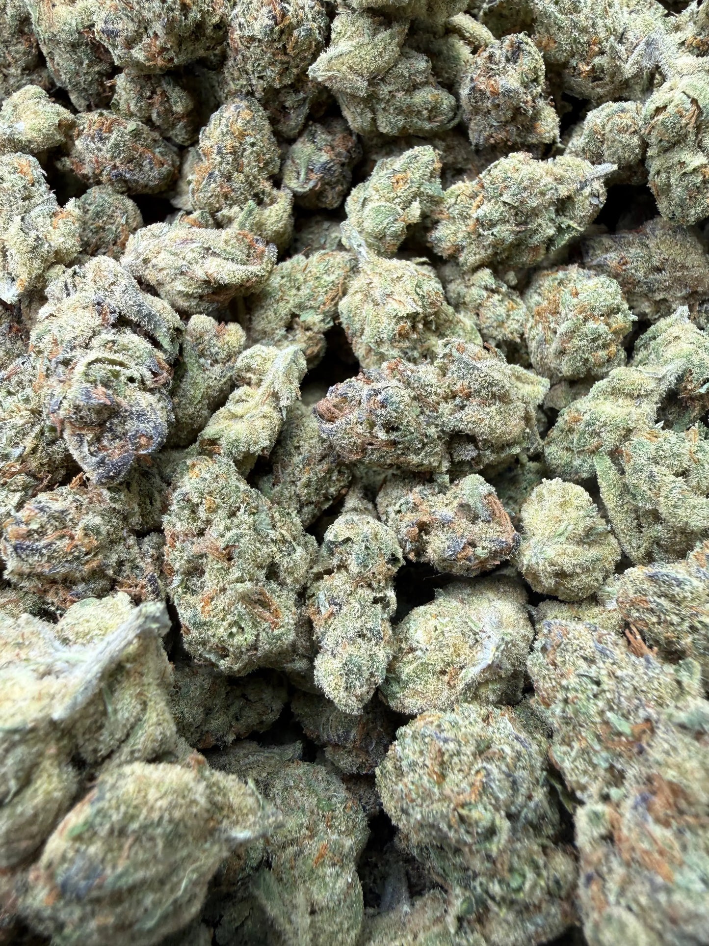 1 Pound - Cheetah Piss THCA Strain Frisco Labs