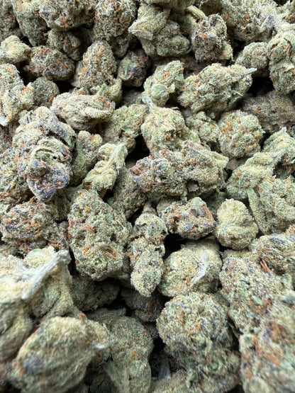 1 Pound - Cheetah Piss THCA Strain Frisco Labs