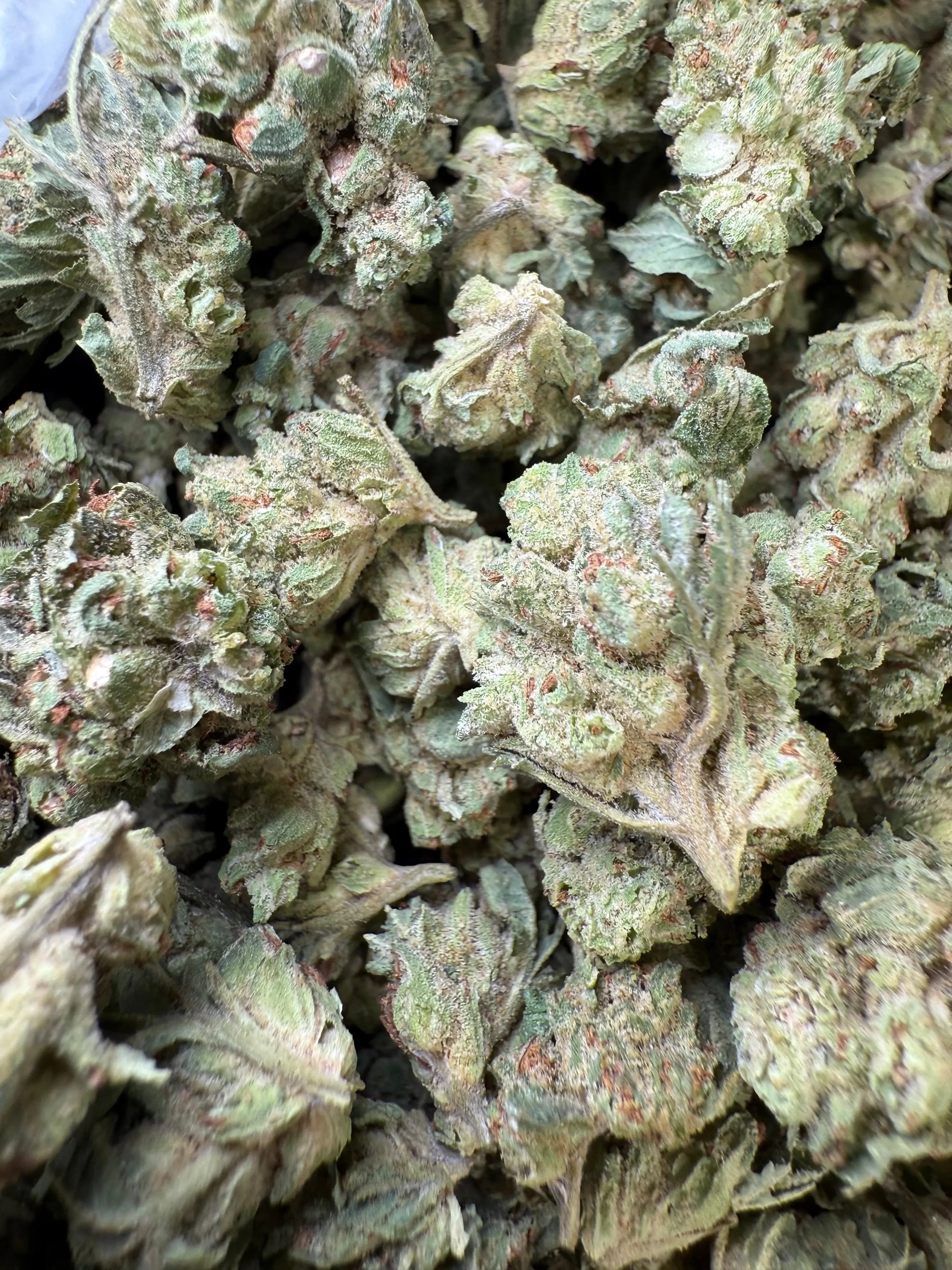 1 Pound - Chem OG (Small) FL Fulfillment Center