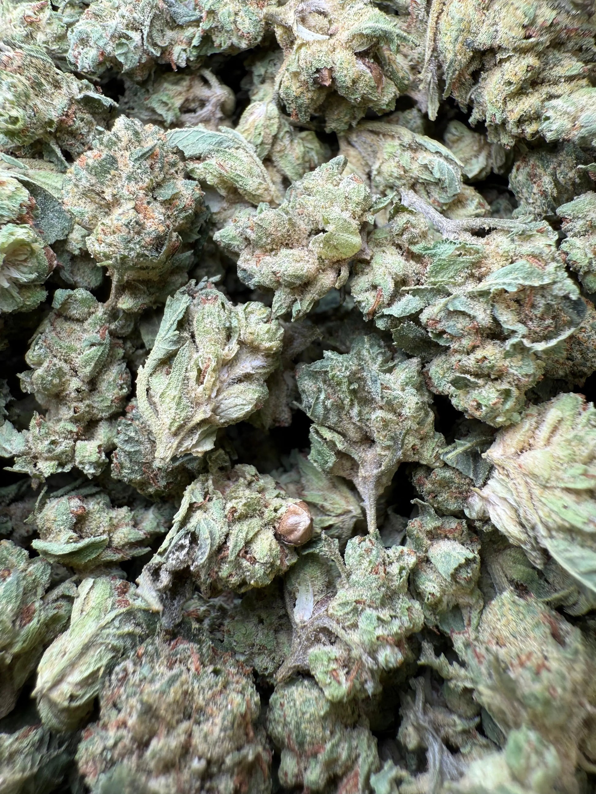 1 Pound - Chem OG (Small) FL Fulfillment Center