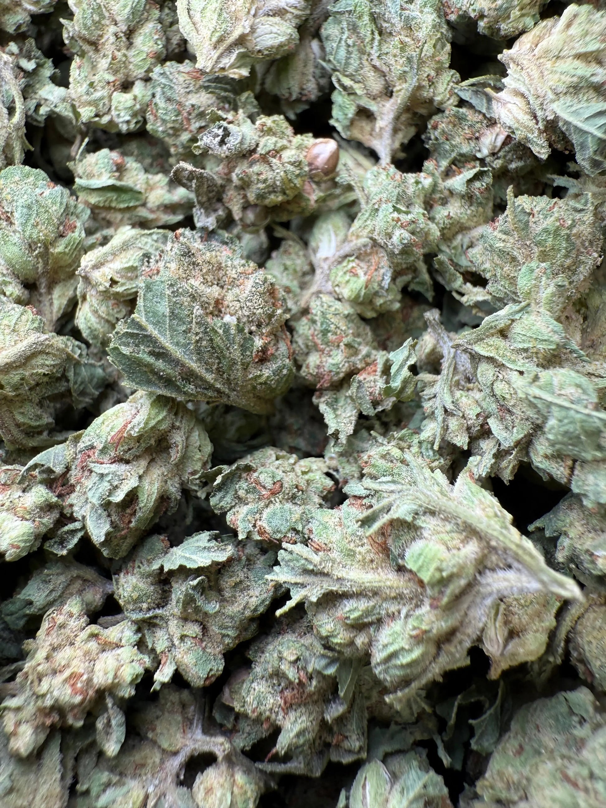 1 Pound - Chem OG (Small) FL Fulfillment Center