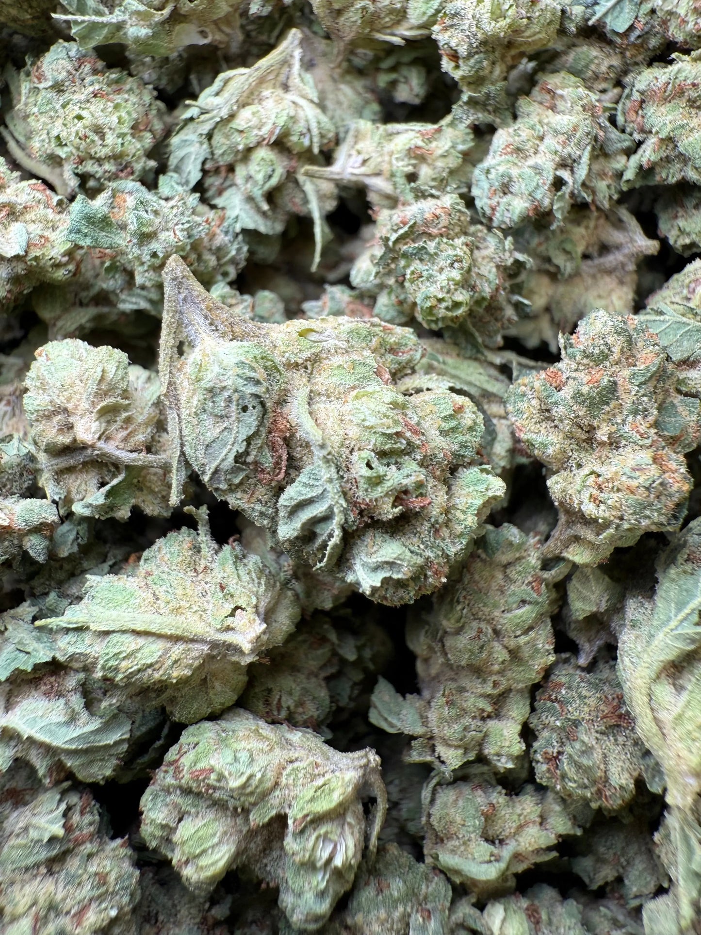 1 Pound - Chem OG (Small) FL Fulfillment Center