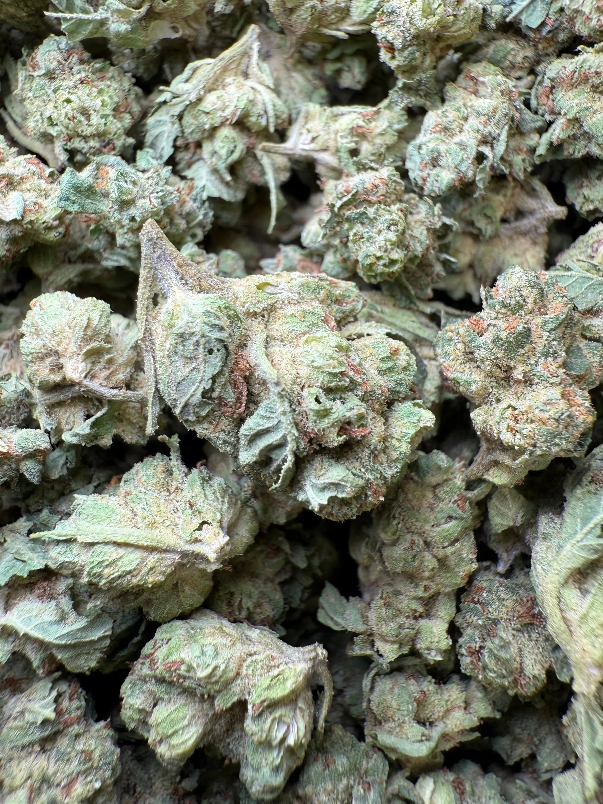 1 Pound - Chem OG (Small) FL Fulfillment Center