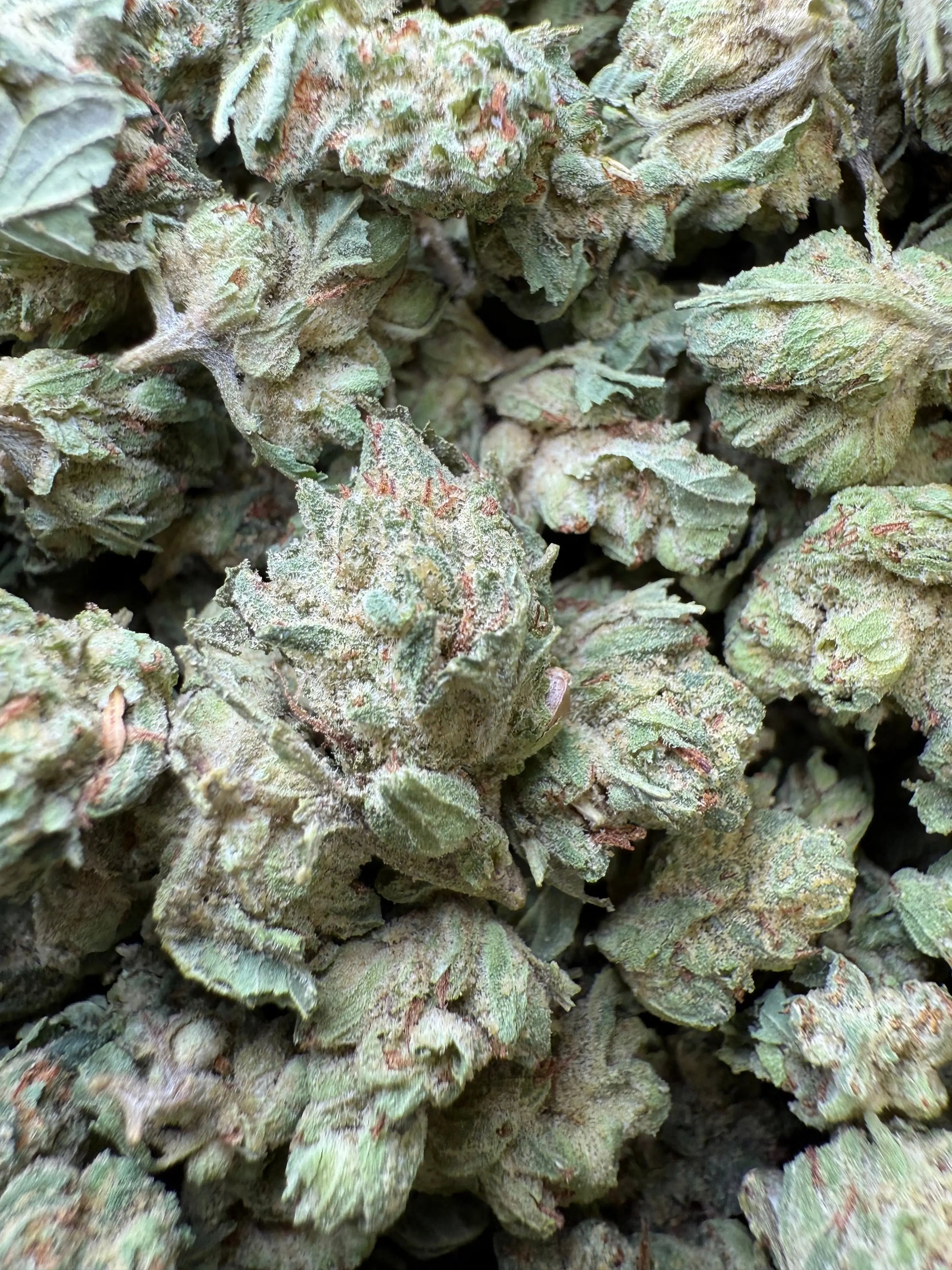 1 Pound - Chem OG (Small) FL Fulfillment Center