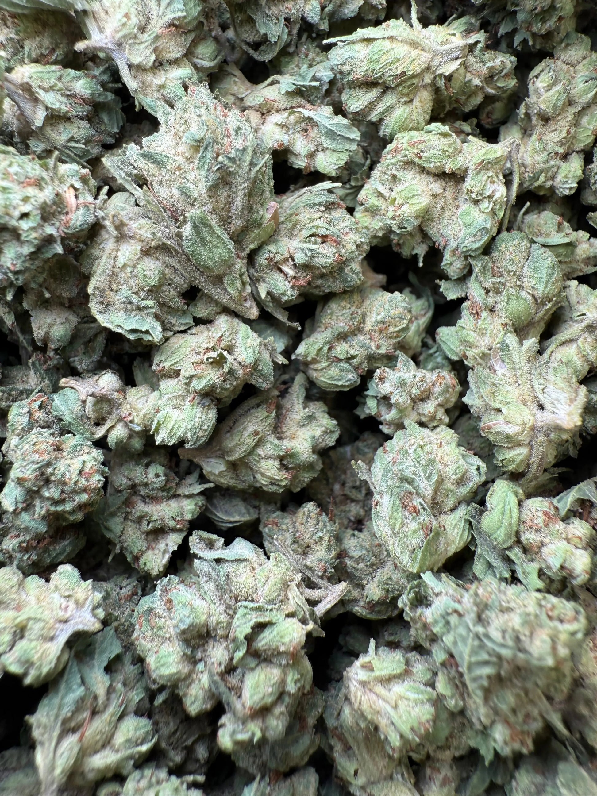 1 Pound - Chem OG (Small) FL Fulfillment Center