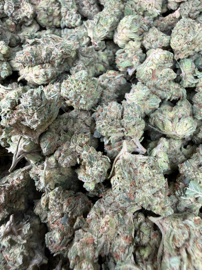 1 Pound - Chem Sorbet THCA Strain (Small) Frisco Labs