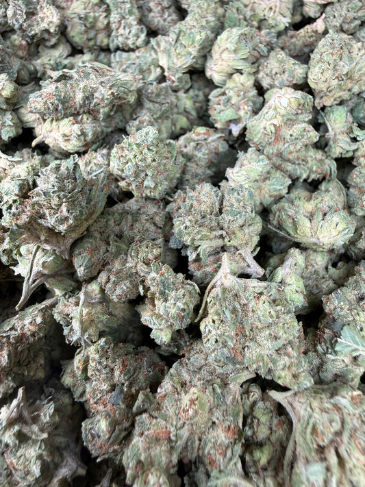 1 Pound - Chem Sorbet THCA Strain (Small) Frisco Labs