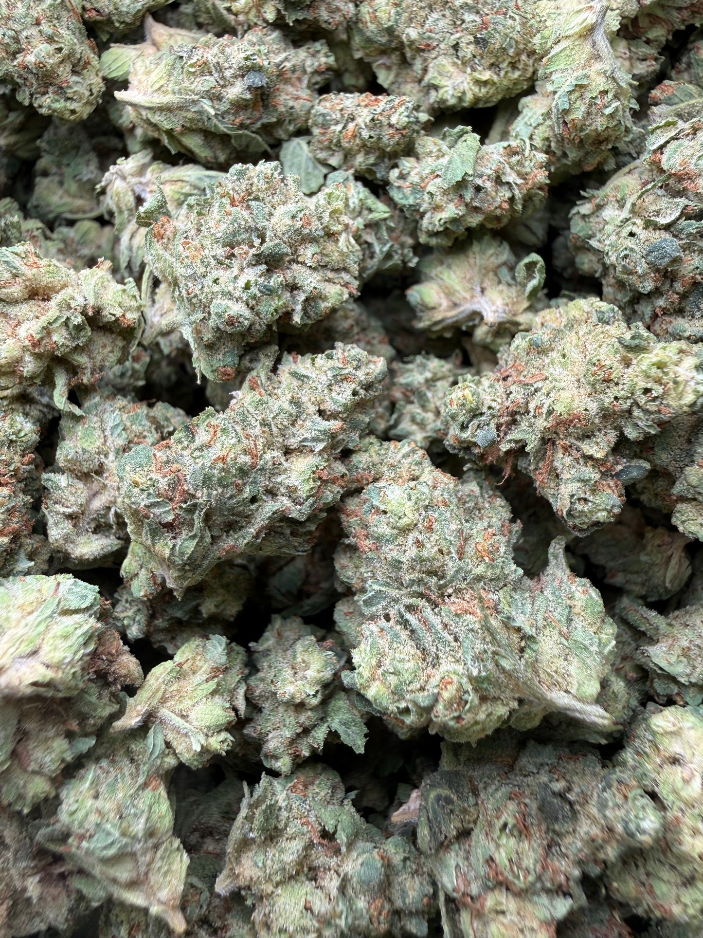 1 Pound - Chem Sorbet THCA Strain (Small) Frisco Labs