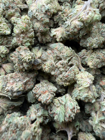 1 Pound - Chem Sorbet THCA Strain (Small) Frisco Labs