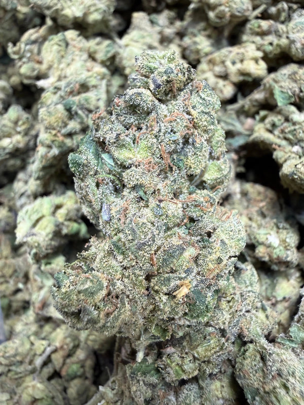 1 Pound - Chimera THCA Strain