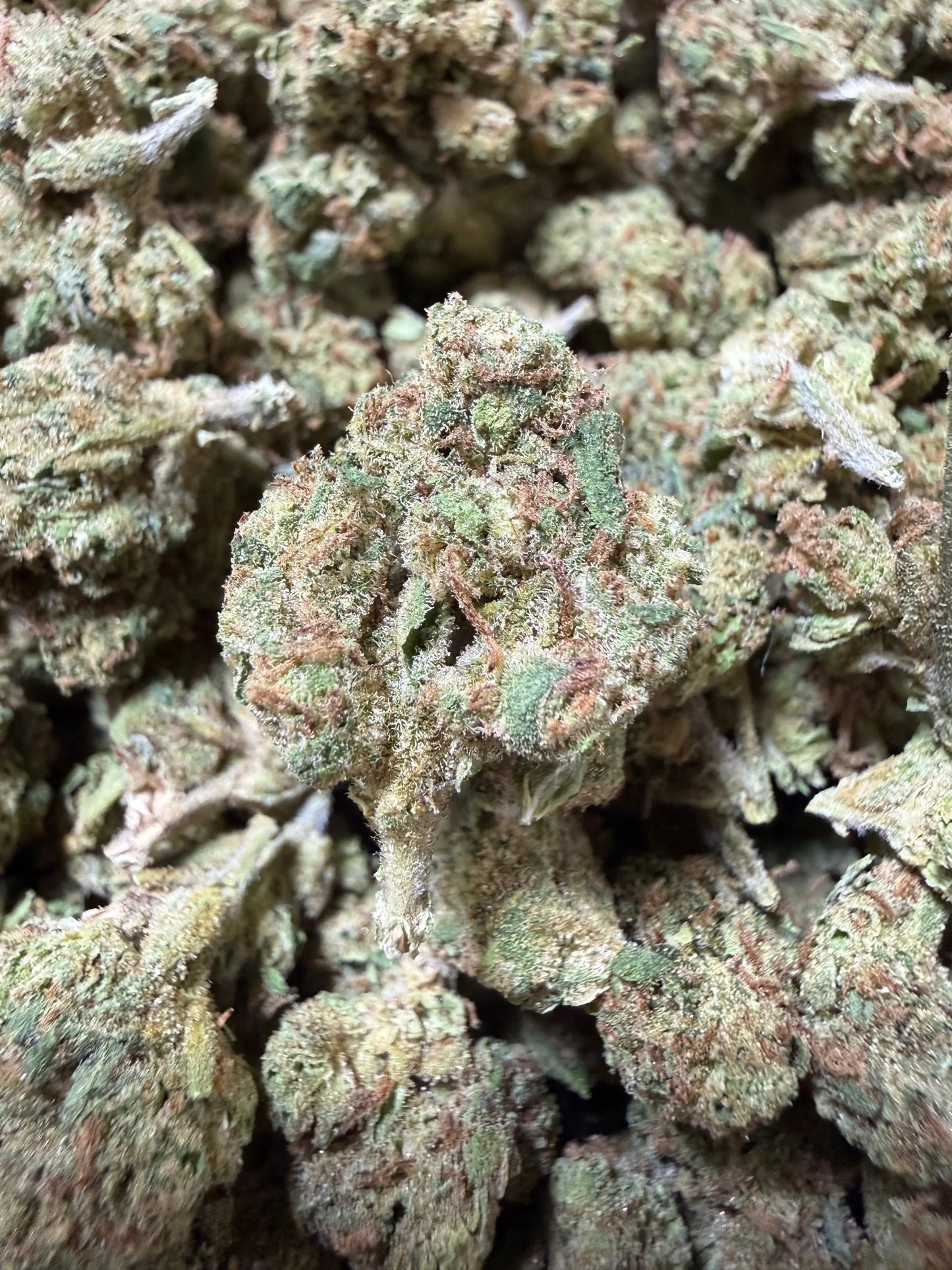 1 Pound - Orange Clementine OG Kush THCA Flower (Smalls)