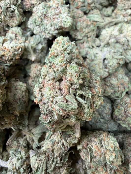 1 Pound -  Melted Strawberries Strain Frisco Labs