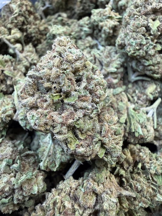1 Pound -  Cream Push Pop Strain Frisco Labs