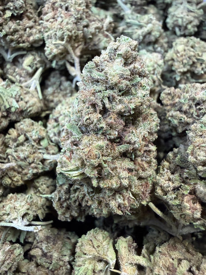 1 Pound -  Cream Push Pop Strain Frisco Labs