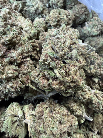 1 Pound -  Cream Push Pop Strain Frisco Labs