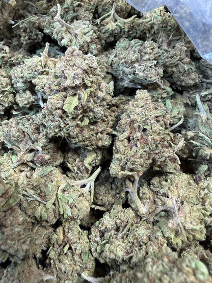 1 Pound -  Cream Push Pop Strain Frisco Labs