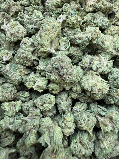 1 Pound -  Cream Push Pop Strain (Small) Frisco Labs